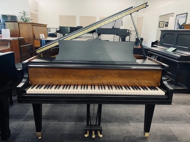 Grand and upright pianos in a piano store